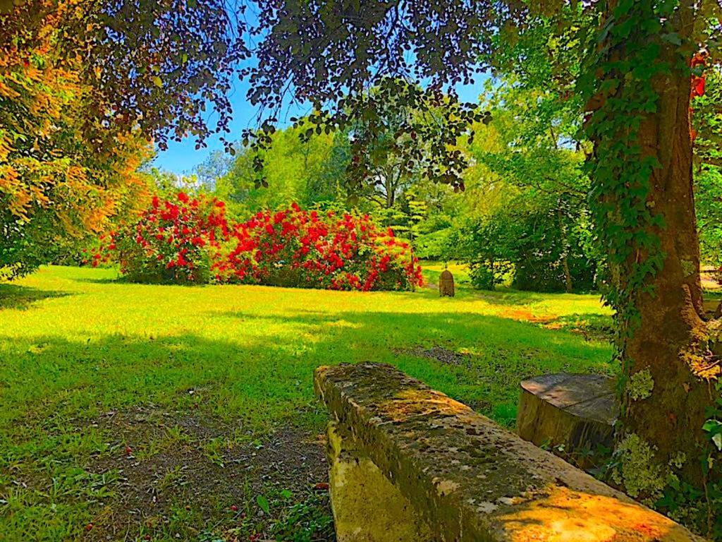 Вілла Fabuleux - Domaine Du Moulin D'Andraut Bordeaux-Chevaux-Golf-St Emilion Montussan Екстер'єр фото
