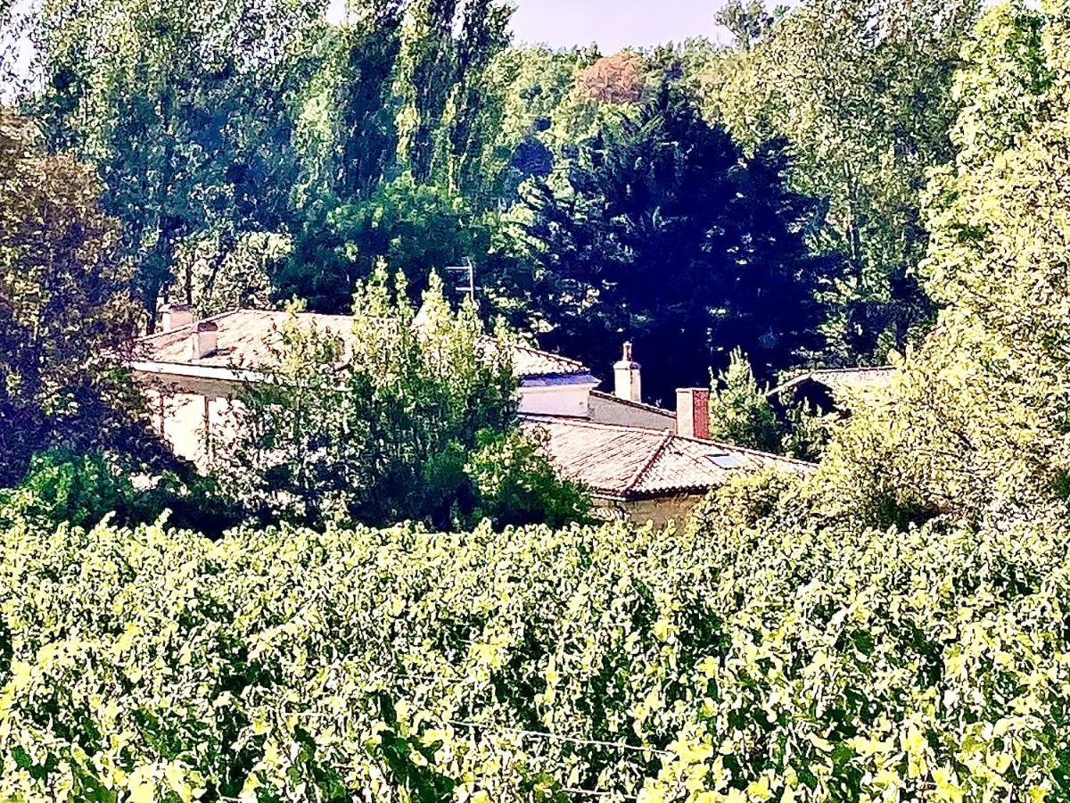 Вілла Fabuleux - Domaine Du Moulin D'Andraut Bordeaux-Chevaux-Golf-St Emilion Montussan Екстер'єр фото