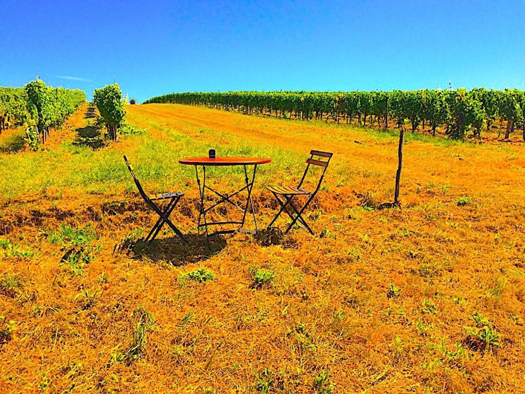 Вілла Fabuleux - Domaine Du Moulin D'Andraut Bordeaux-Chevaux-Golf-St Emilion Montussan Екстер'єр фото